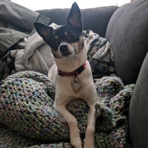 Meet your Posher, Jordan